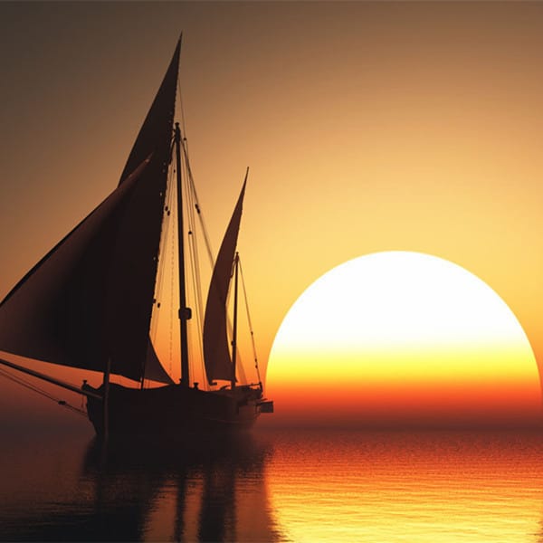 آمینہ شیخ avatar